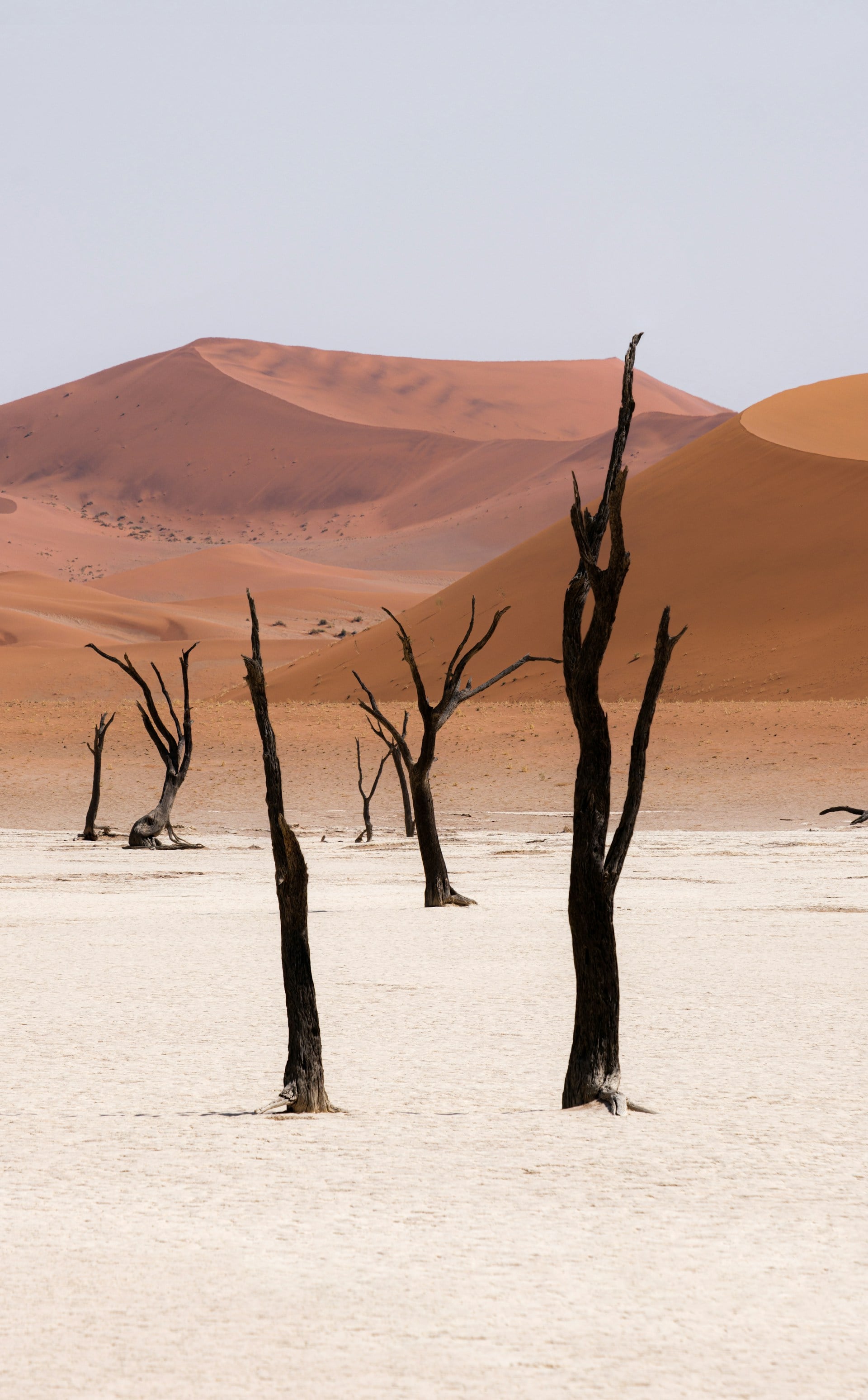 namibia
