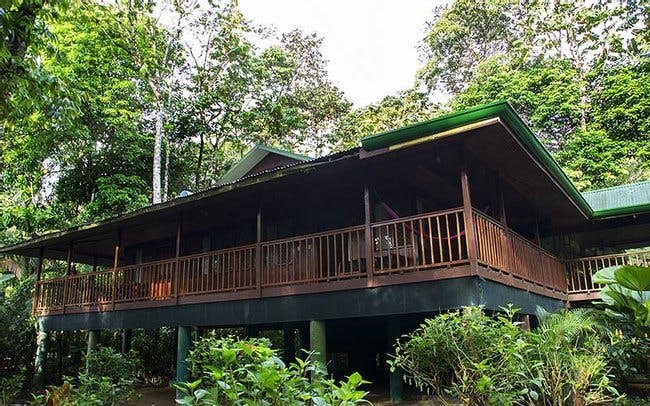 Selva Verde Lodge and Rainforest Reserve Photo