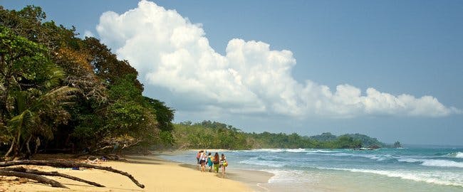 Panama Surf Spots