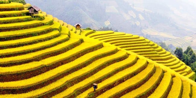Vietnam Highlands