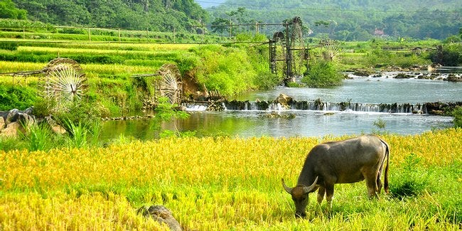 Vietnam Image