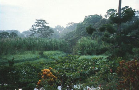 Aviarios del Caribe Reserve Image