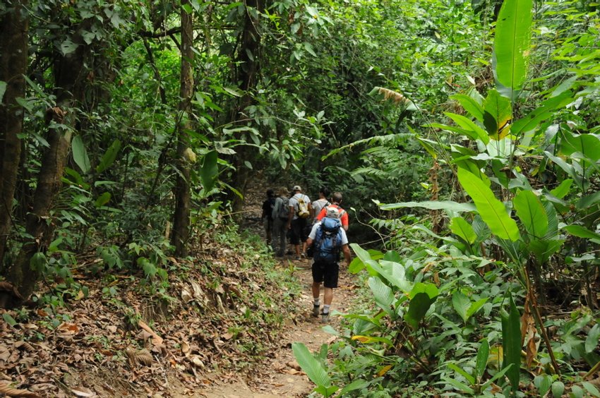 Sirena Biological Station, Costa Rica - 2024 Guide