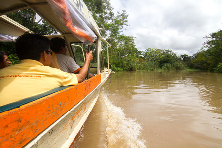 Amazon River Image