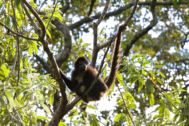 National Parks of Guatemala