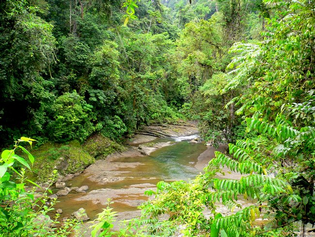 Costa Rica Image