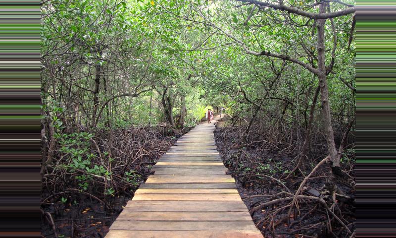 Bastimentos Island National Park, Panama - 2018 Guide