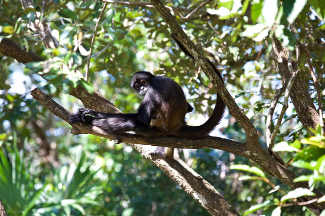 Belize Image