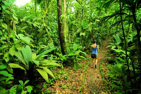 Braulio Carrillo National Park Image