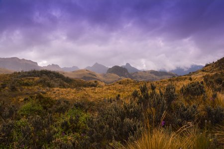 Cayambe Ecological Reserve Image