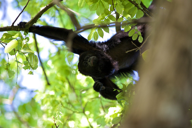 Belize Image