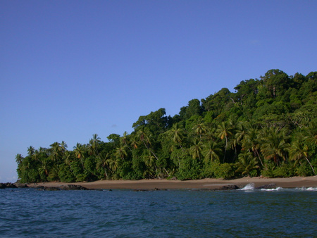 Corcovado National Park Image