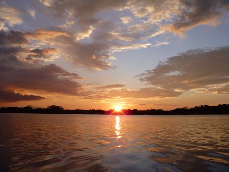 Cuyabeno Wildlife Reserve Image