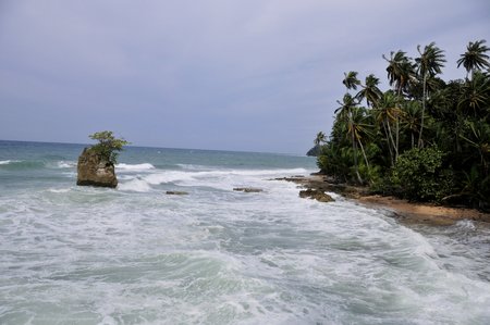 Gandoca Manzanillo Wildlife Refuge Image