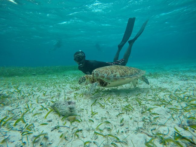 Parques Nacionales de Belice