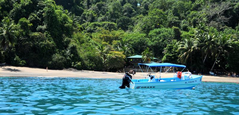 Isla Del Cano Biological Reserve Drake Bay Costa Rica Anywhere 