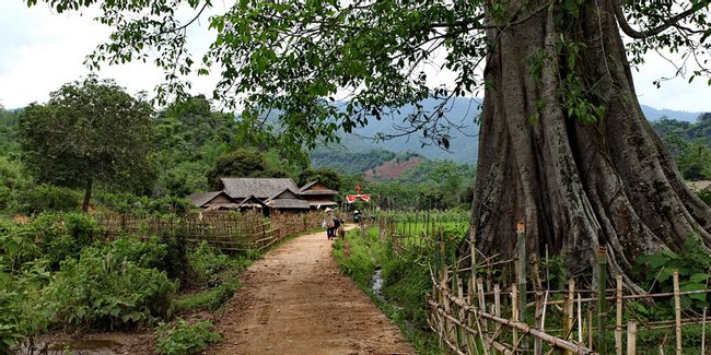 Vietnam Image