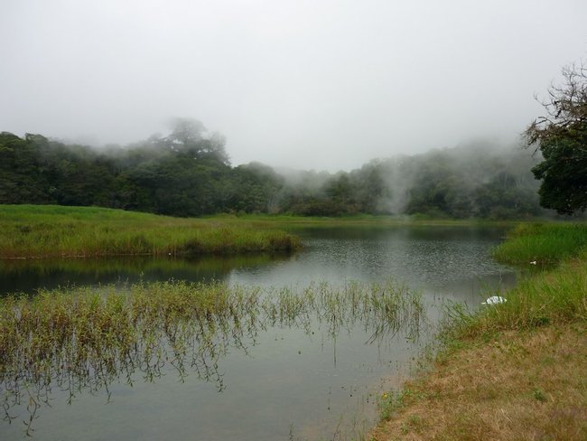 Los Lagos de Panamá