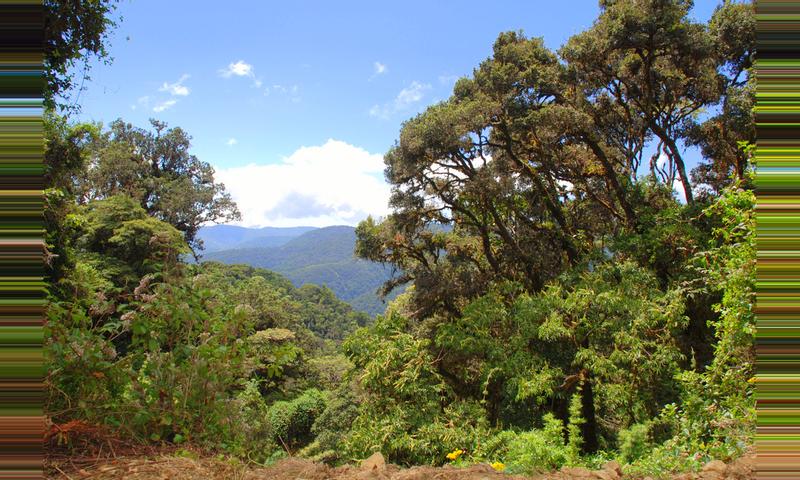 Los Quetzales National Park, Costa Rica - 2018 Guide