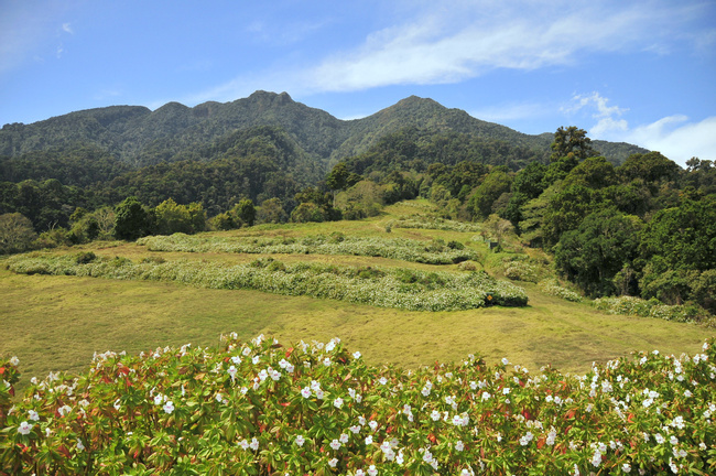 Panama Image