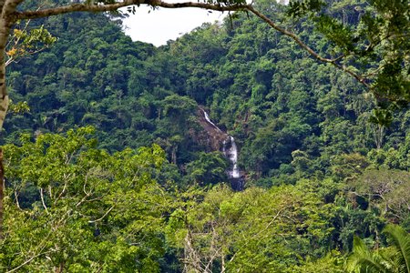 Mayflower Bocawina National Park Image