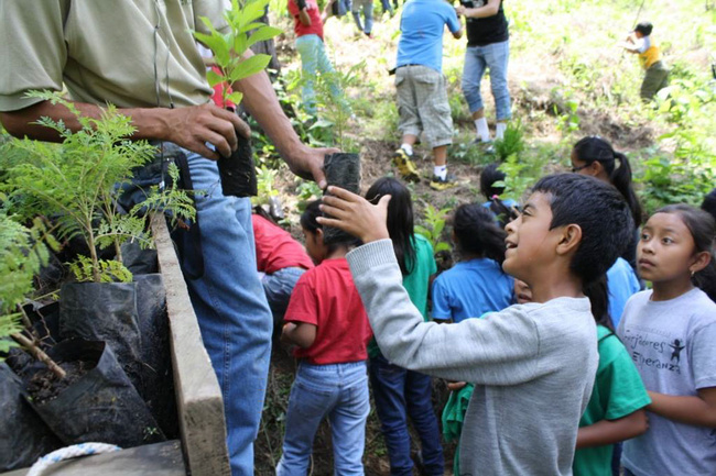 Guatemala Image