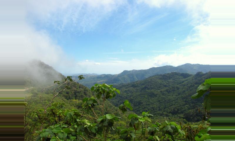 Omar Torrijos National Park, Panama - 2018 Guide