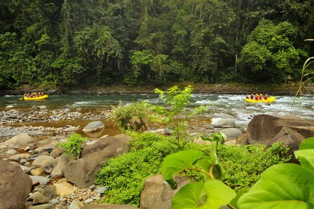 Pacuare River Image