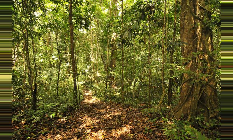 2018 Panama Visitor Guide: Darién National Park, Panama