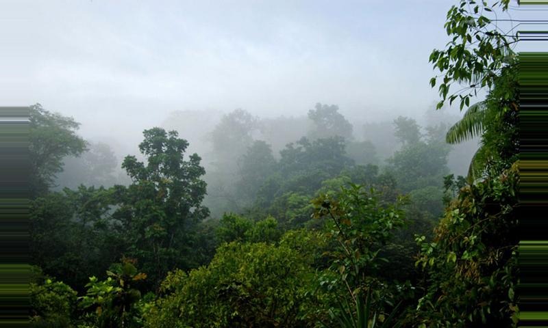 Piedras Blancas National Park, Costa Rica - 2018 Guide