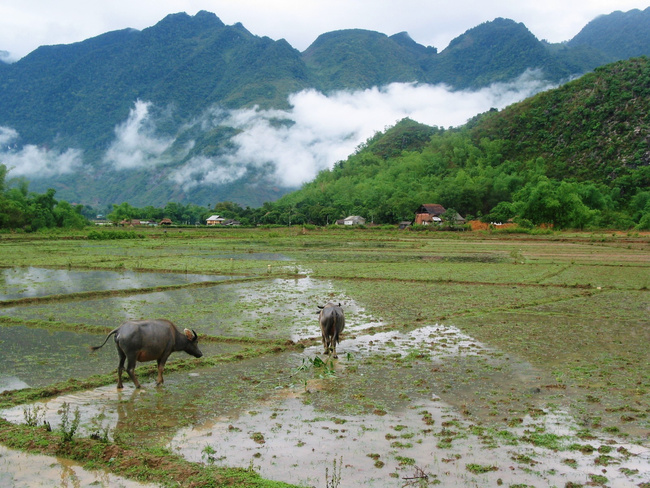 Vietnam Image