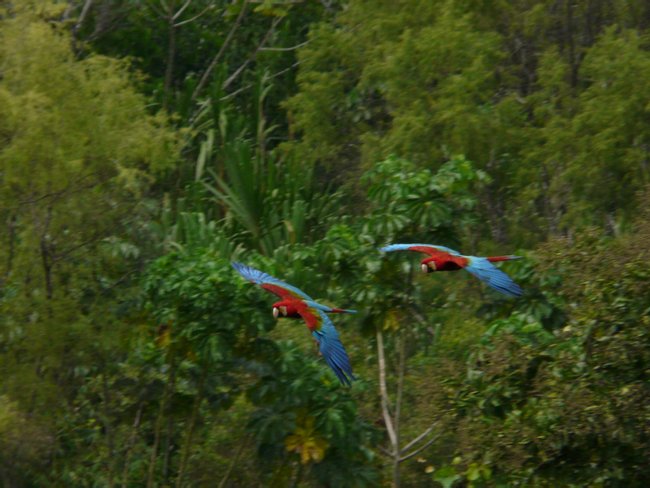 Peru Image