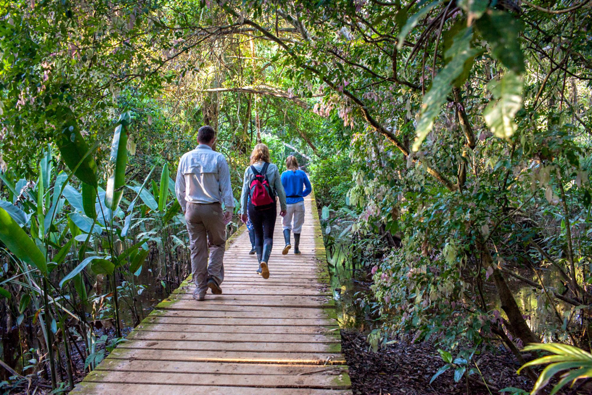 2023 Peru Visitor Guide: Tambopata National Reserve