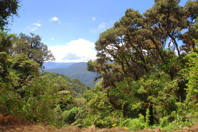 Costa Rica Image