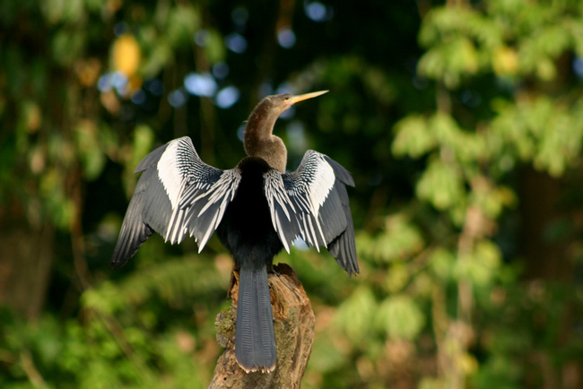 Costa Rica Image