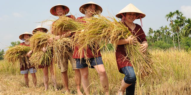 Vietnam Image