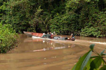 Yasuni National Park Image