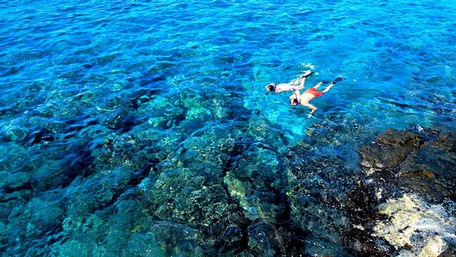 Belize Barrier Reef Snorkeling Photo