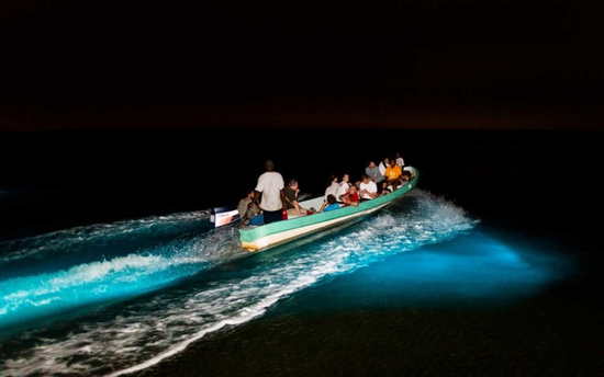 Garifuna Drumming and Bioluminiscence River Tour (night) Photo