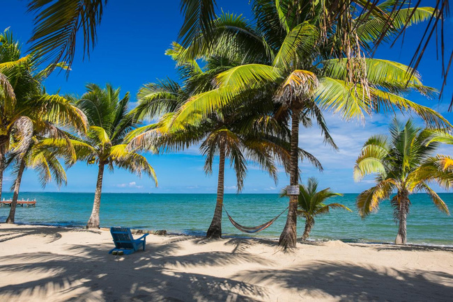 Green Parrot Beach Houses Photo