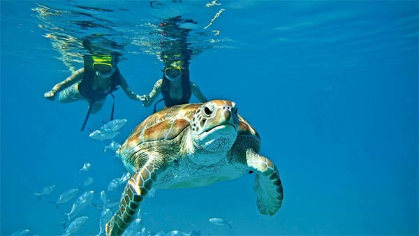 Snorkel Tour Photo