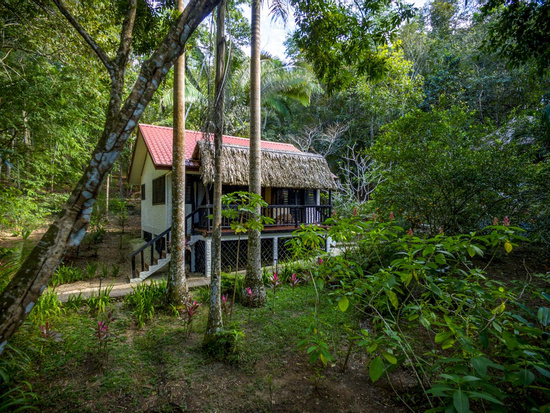 Rainforest Cabin Photo