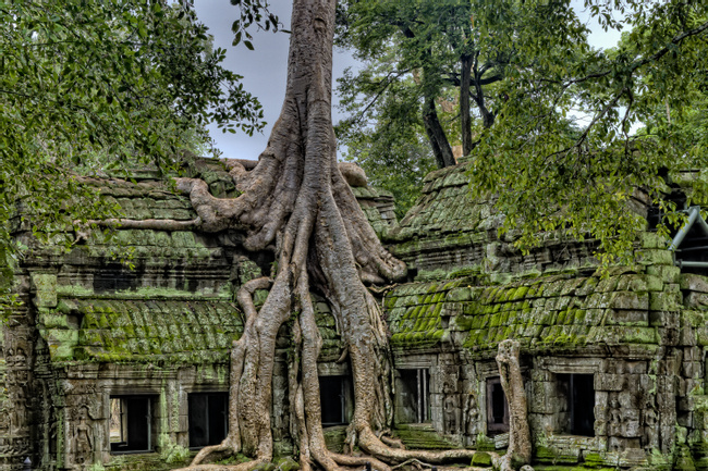 Cambodia Image