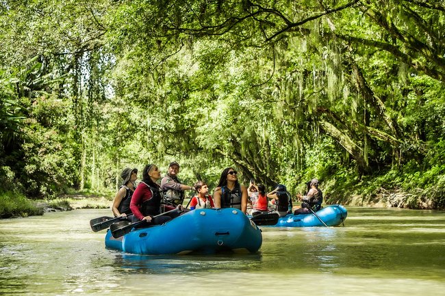 Safari Float Photo