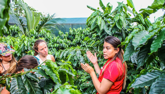 Don Juan Coffee and Chocolate Tour Arenal  Photo