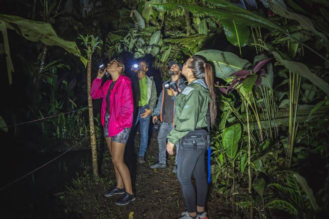 Arenal shop night hike