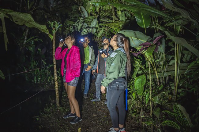 EcoGarden Arenal Night Tour Photo