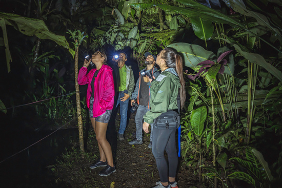 EcoGarden Night Tour Photo