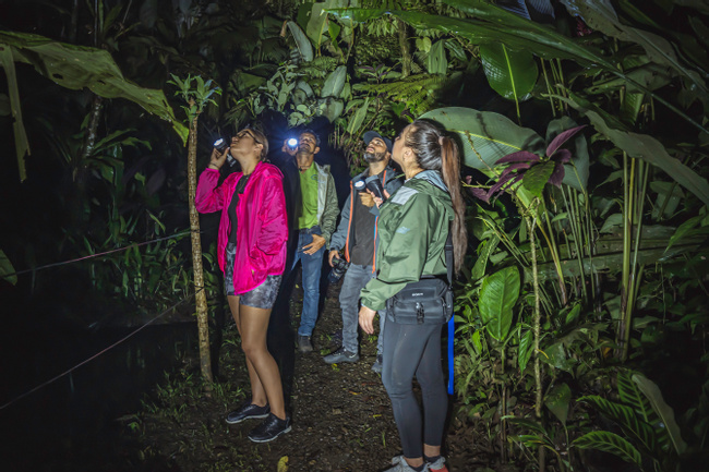 EcoGarden Arenal Night Tour Photo