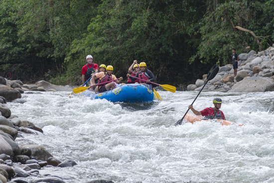 Whitewater Rafting Class II - III at Sarapiqui River Photo